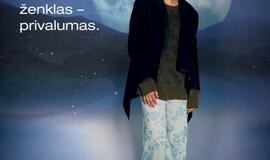 „Dviejų Korėjų susijungimas“