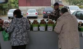 Naujasis turgus pakvies į įkurtuves