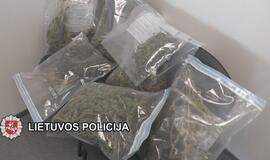 „Sodininkai“ užaugino kanapių už 25000 eurų