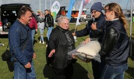 100-mečio "Švyturių ralis"