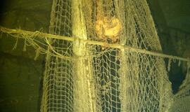 Narai nori atkreipti dėmesį į problemas po vandeniu