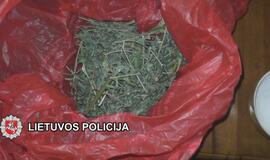 „Sodininkai“ užaugino kanapių už 25000 eurų