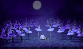 Rekordinis “Gulbių ežeras”: scenoje šoks net 48 gulbės