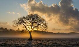 Antradienio horoskopas 12-ai zodiako ženklų