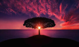 Ketvirtadienio horoskopas 12-ai zodiako ženklų