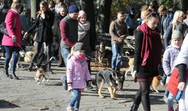 Uostamiesčio gyvūnai sulaukė palaiminimo