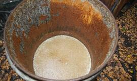 Pajūrio kaimo miške gaminta naminukė