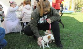 Uostamiesčio gyvūnai sulaukė palaiminimo