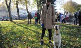 Uostamiesčio gyvūnai sulaukė palaiminimo