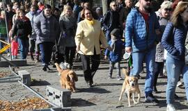 Uostamiesčio gyvūnai sulaukė palaiminimo