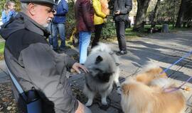 Uostamiesčio gyvūnai sulaukė palaiminimo