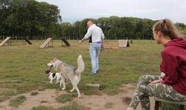 Šunų aikštelės Klaipėdoje: per mažai ir su trūkumais