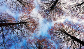 Trečiadienio horoskopas 12-ai zodiako ženklų