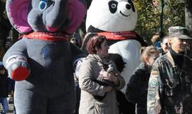 Uostamiesčio gyvūnai sulaukė palaiminimo