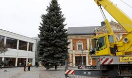 Kalėdų eglė atkeliavo į Teatro aikštę