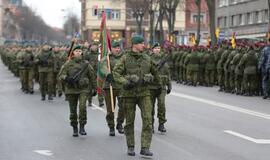 Kariuomenės šimtmetis sutiktas salvėmis