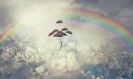 Ketvirtadienio horoskopas 12-ai zodiako ženklų