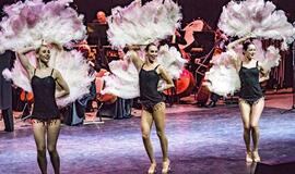 Muzikinis sūkurys pagaus žymų tenorą ir Johano Štrauso muziką