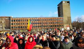 Mitingas prieš vaikų atiminėjimą