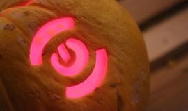 Moliūgų šventė Teatro aikštėje