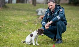 Tarnybą pradeda nauja keturkojė pareigūnė