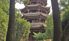 Klaipėdietiška oazė Kinijos sostinėje