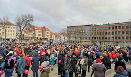 Mitingas prieš vaikų atiminėjimą