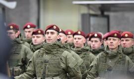 Kariuomenės šimtmetis