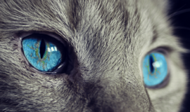 Sekmadienio horoskopas 12-ai zodiako ženklų