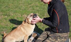 Šiandien namų ieško: Džona