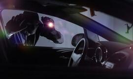 Vagišiai liko be grobio