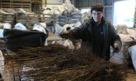 Gyvenimas po urėdijų reformos tęsiasi: problemas bandoma spręsti