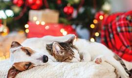 Ketvirtadienio horoskopas 12-ai zodiako ženklų