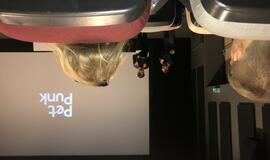 Klaipėdiečiai pamėgo jaukius kino pasimatymus