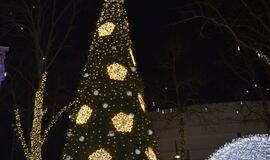 Palangoje suspindo tūkstančiai kalėdinių šviesų