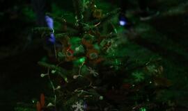 Bibliotekoje sužibo įspūdingos eglutės