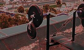 Klaipėdietis nori Lietuvą garsinti Gineso rekordų knygoje