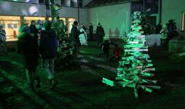 Bibliotekoje sužibo įspūdingos eglutės