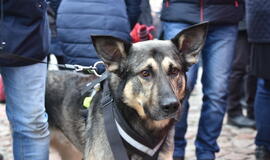 Maltiečiai Teatro aikštėje kvietė gerumo sriubos