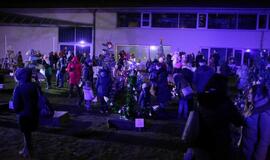 Bibliotekoje sužibo įspūdingos eglutės