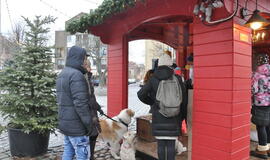 Akcija "Gerumas kuria stebuklus"