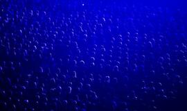 Kastyčio Kerbedžio šou