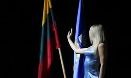 Gintarinės snaigės