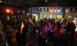 Bibliotekoje sužibo įspūdingos eglutės