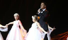 Gintarinės snaigės