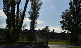 Klaipėdietis nori Lietuvą garsinti Gineso rekordų knygoje