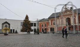 Prieškalėdinis susibūrimas vaišintis žuviene