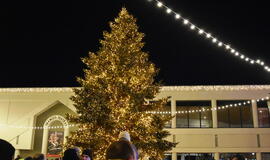 Klaipėda įžiebė savo Kalėdų eglę