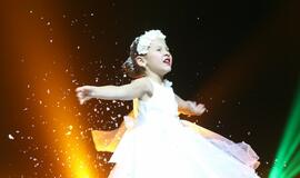 Gintarinės snaigės