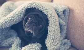 Šeštadienio horoskopas 12-ai zodiako ženklų